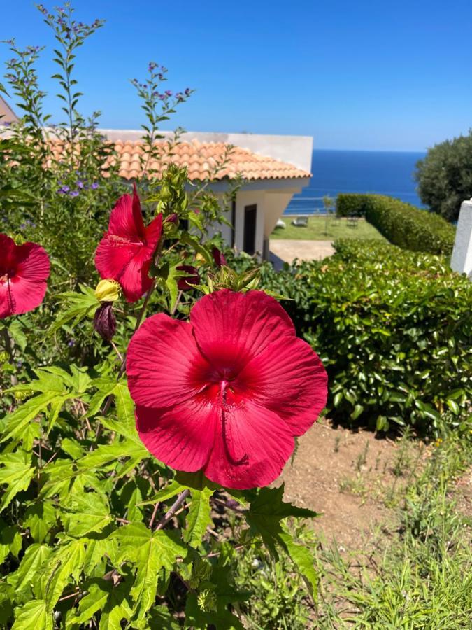 Villa Sofia *Luxury Experience In Calabria Zambrone Exterior foto